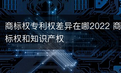 商标权专利权差异在哪2022 商标权和知识产权