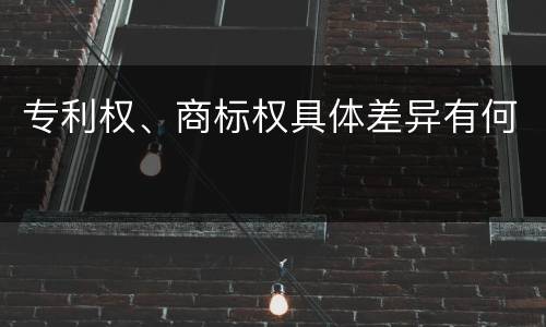 专利权、商标权具体差异有何