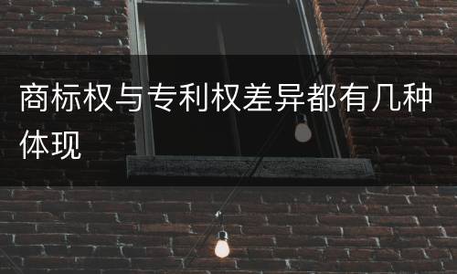 商标权与专利权差异都有几种体现