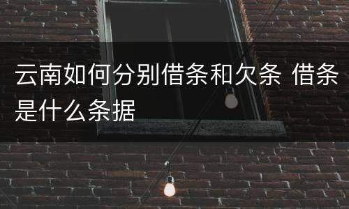 云南如何分别借条和欠条 借条是什么条据