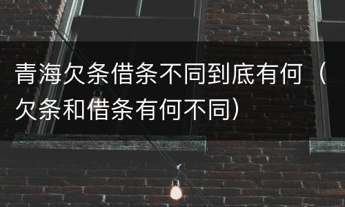 青海欠条借条不同到底有何（欠条和借条有何不同）