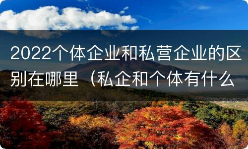 2022个体企业和私营企业的区别在哪里（私企和个体有什么区别）
