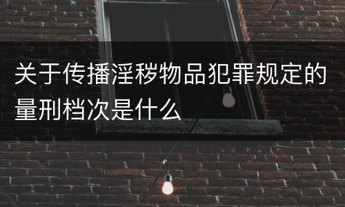 关于传播淫秽物品犯罪规定的量刑档次是什么