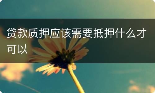 贷款质押应该需要抵押什么才可以