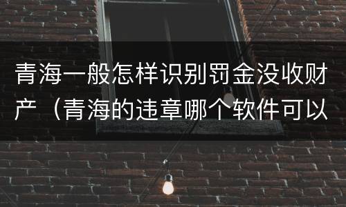 青海一般怎样识别罚金没收财产（青海的违章哪个软件可以查询?）