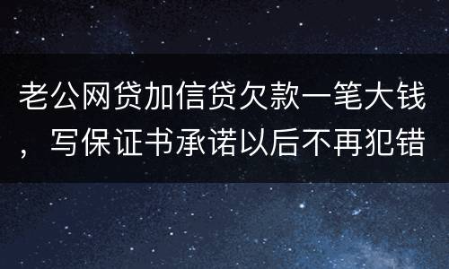 老公网贷加信贷欠款一笔大钱，写保证书承诺以后不再犯错，请问怎样写受法律保护