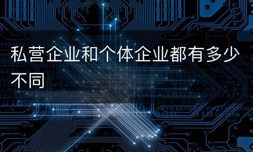 私营企业和个体企业都有多少不同