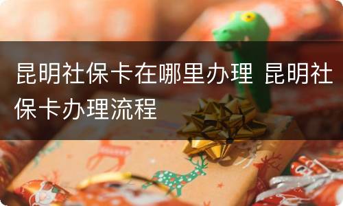 昆明社保卡在哪里办理 昆明社保卡办理流程