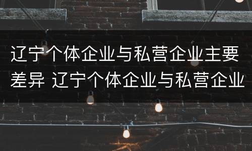辽宁个体企业与私营企业主要差异 辽宁个体企业与私营企业主要差异有哪些