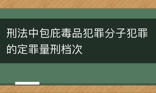 刑法中包庇毒品犯罪分子犯罪的定罪量刑档次
