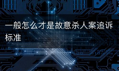 一般怎么才是故意杀人案追诉标准