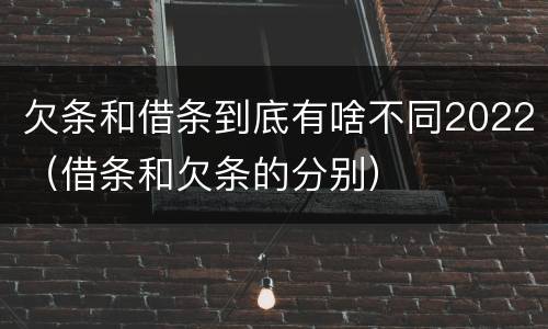 欠条和借条到底有啥不同2022（借条和欠条的分别）