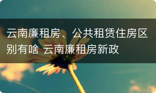 云南廉租房、公共租赁住房区别有啥 云南廉租房新政