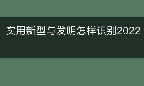 实用新型与发明怎样识别2022
