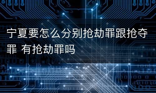 宁夏要怎么分别抢劫罪跟抢夺罪 有抢劫罪吗