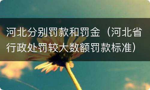 河北分别罚款和罚金（河北省行政处罚较大数额罚款标准）