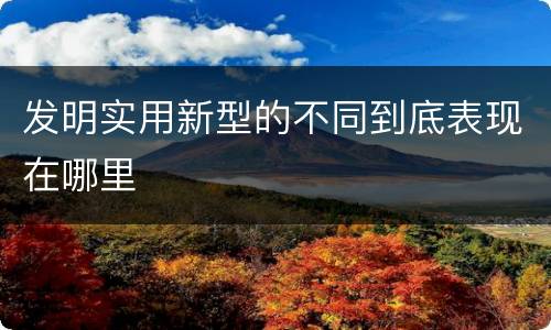 发明实用新型的不同到底表现在哪里