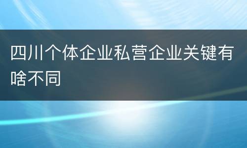 四川个体企业私营企业关键有啥不同