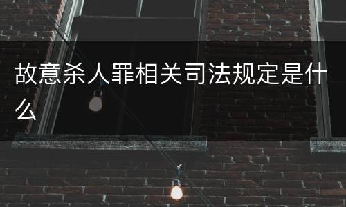 故意杀人罪相关司法规定是什么