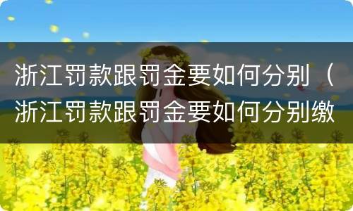 浙江罚款跟罚金要如何分别（浙江罚款跟罚金要如何分别缴纳）