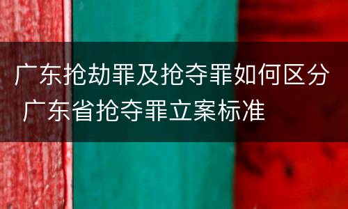 广东抢劫罪及抢夺罪如何区分 广东省抢夺罪立案标准