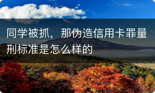 同学被抓，那伪造信用卡罪量刑标准是怎么样的