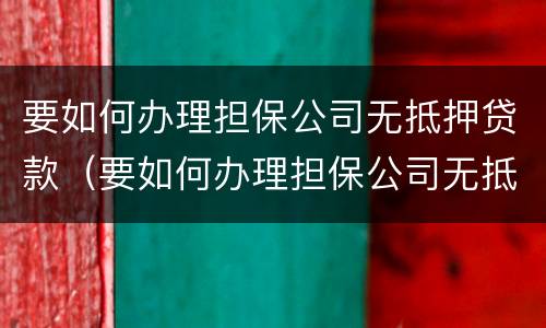 要如何办理担保公司无抵押贷款（要如何办理担保公司无抵押贷款呢）