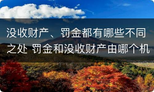 没收财产、罚金都有哪些不同之处 罚金和没收财产由哪个机关执行