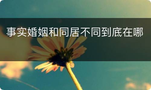 事实婚姻和同居不同到底在哪