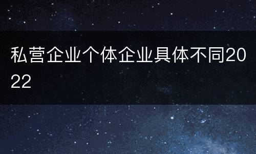 私营企业个体企业具体不同2022