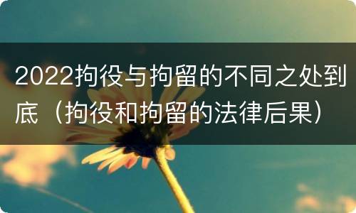 2022拘役与拘留的不同之处到底（拘役和拘留的法律后果）