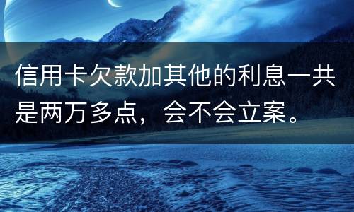 信用卡欠款加其他的利息一共是两万多点，会不会立案。