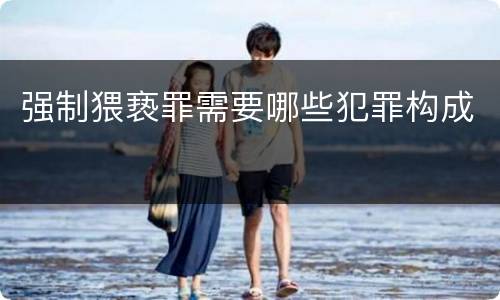 强制猥亵罪需要哪些犯罪构成