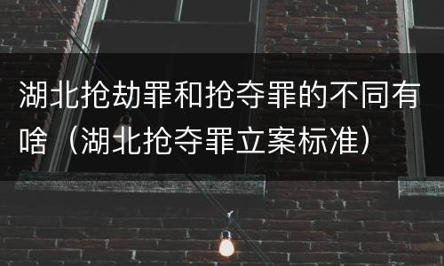 湖北抢劫罪和抢夺罪的不同有啥（湖北抢夺罪立案标准）