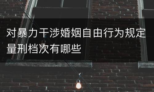 对暴力干涉婚姻自由行为规定量刑档次有哪些