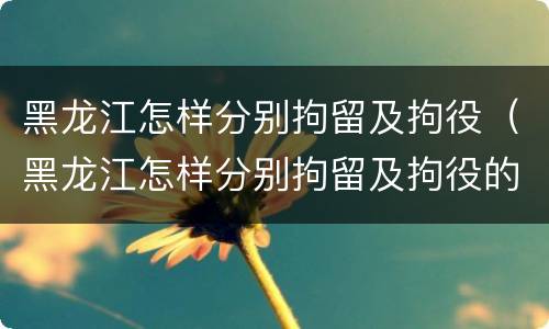 黑龙江怎样分别拘留及拘役（黑龙江怎样分别拘留及拘役的）