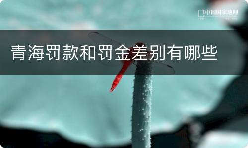 青海罚款和罚金差别有哪些