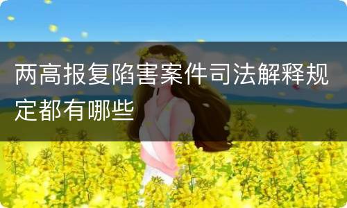 两高报复陷害案件司法解释规定都有哪些