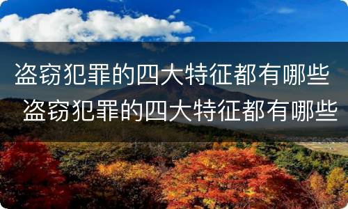 盗窃犯罪的四大特征都有哪些 盗窃犯罪的四大特征都有哪些呢