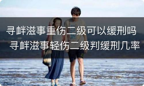 寻衅滋事重伤二级可以缓刑吗 寻衅滋事轻伤二级判缓刑几率大吗