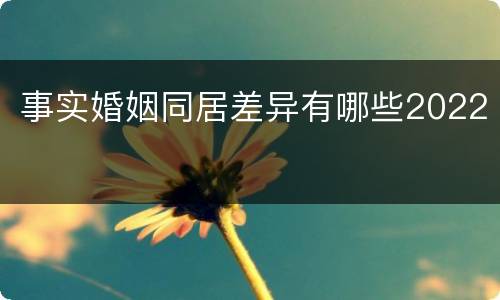 事实婚姻同居差异有哪些2022