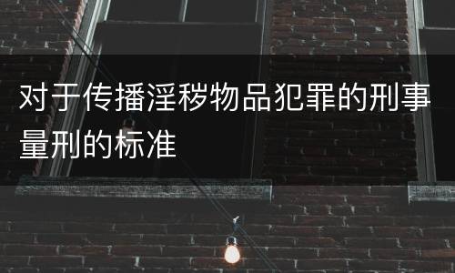 对于传播淫秽物品犯罪的刑事量刑的标准