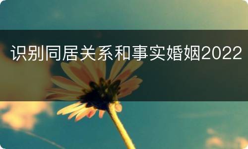 识别同居关系和事实婚姻2022