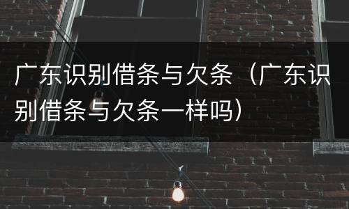 广东识别借条与欠条（广东识别借条与欠条一样吗）