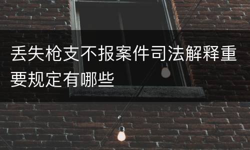 丢失枪支不报案件司法解释重要规定有哪些