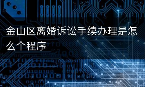 金山区离婚诉讼手续办理是怎么个程序