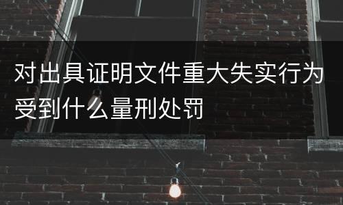 对出具证明文件重大失实行为受到什么量刑处罚