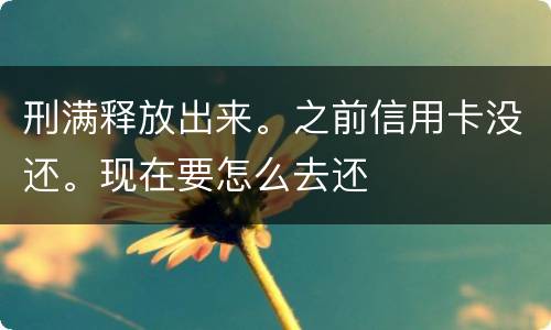 刑满释放出来。之前信用卡没还。现在要怎么去还