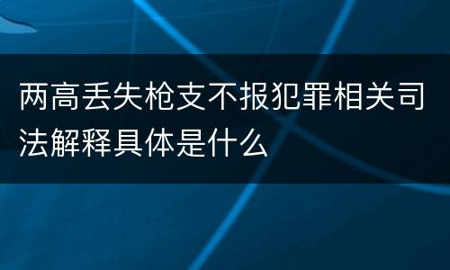 两高丢失枪支不报犯罪相关司法解释具体是什么