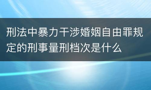 刑法中暴力干涉婚姻自由罪规定的刑事量刑档次是什么